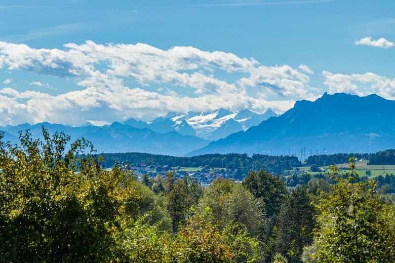 Villa für Freigeister und Lebenskünstler auf 10'000 m² zwischen Zürich und Zug (17)