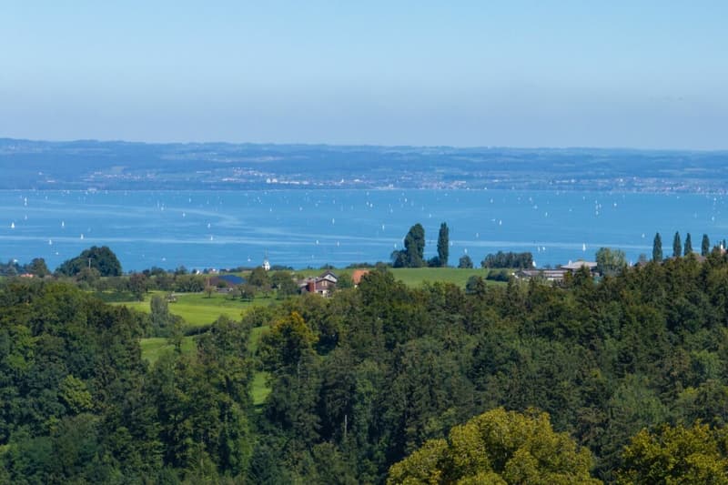 Aussicht auf den Bodensee