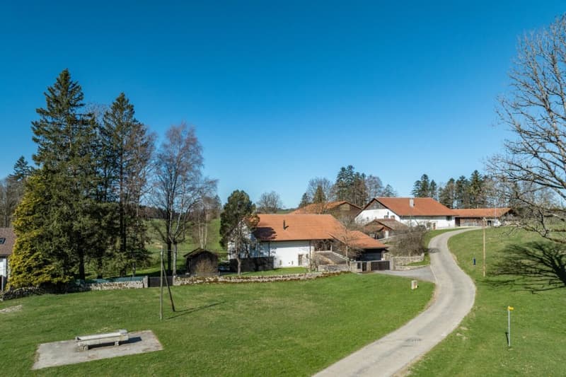 Grosses, diskretes, hochwertiges Landhaus im jurassischen Naturparadies (3)