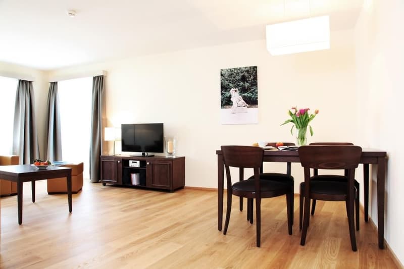3-Zimmer Family Apartment möbiliert in Zürich Seefeld (4)