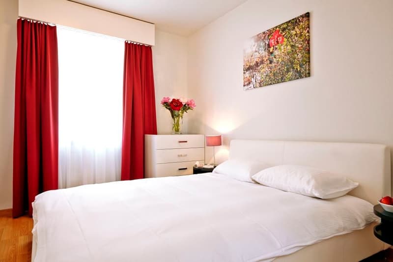 Furnished 1-bedroom Apartment near Hirslanden, Balgrist / Möbliertes 3-Zimmer Apartment (1)
