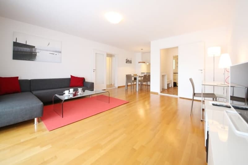 Furnished 2-bedroom Apartment / Möbliertes 2-Zimmer Apartment - amazing view over Zurich (1)