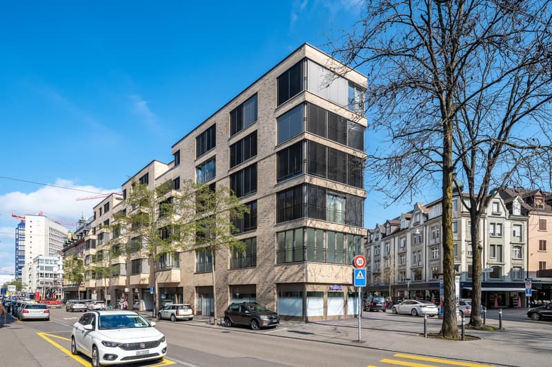 Studio Apartment Suite möbliert und neu renoviert in Zürich Oerlikon (11)