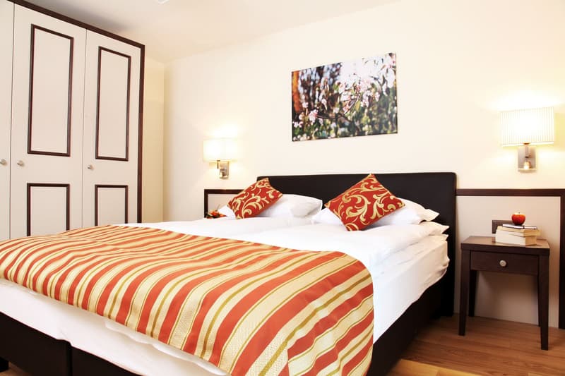 2-Zimmer Apartment möbiliert in Zürich Seefeld - Zürich See 5 Minuten (4)