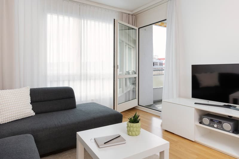 Furnished 1-bedroom Apartment / Möbliertes 2-Zimmer Apartment (4)
