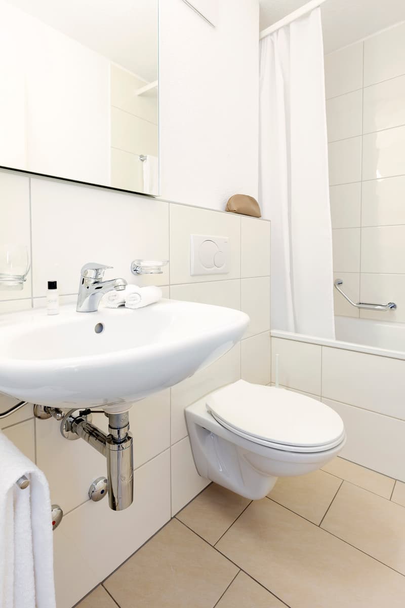 Furnished 1-bedroom Apartment / Möbliertes 2-Zimmer Apartment (3)