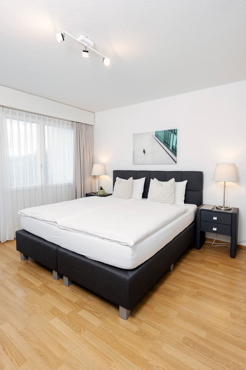 Furnished 1-bedroom Apartment / Möbliertes 2-Zimmer Apartment (1)