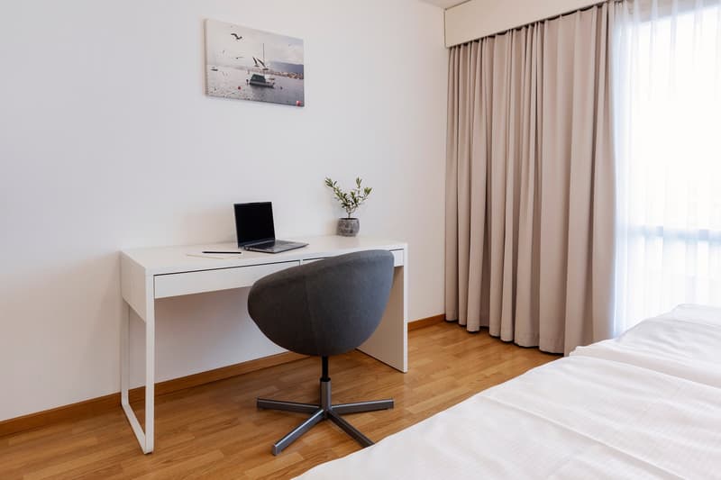 Furnished 1-bedroom Apartment / Möbliertes 2-Zimmer Apartment (2)