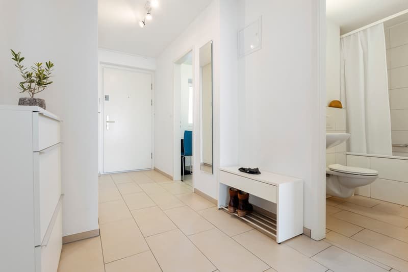 Furnished 1-bedroom Apartment / Möbliertes 2-Zimmer Apartment (8)