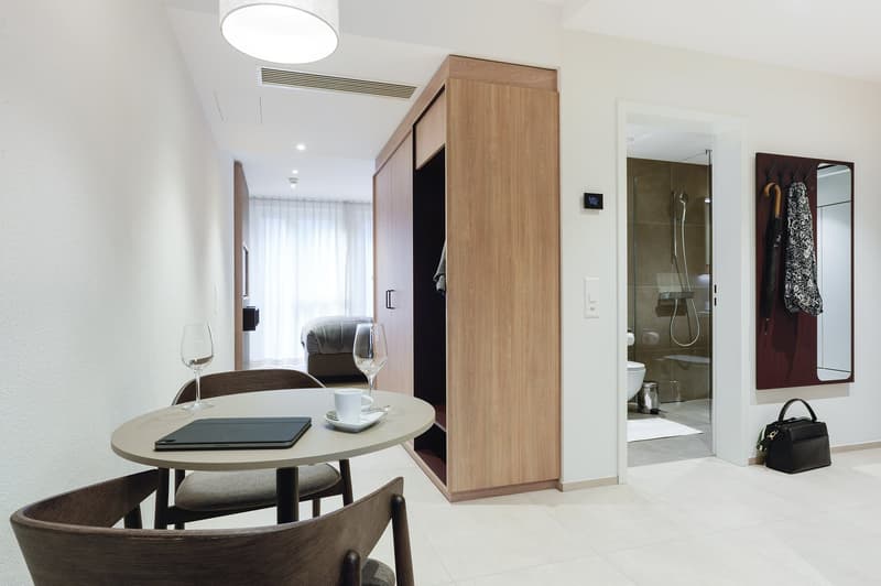 Studio Superior Apartment möbliert in Zürich - Zentral in der Stadt wohnen – ab 01.04.2026 (6)