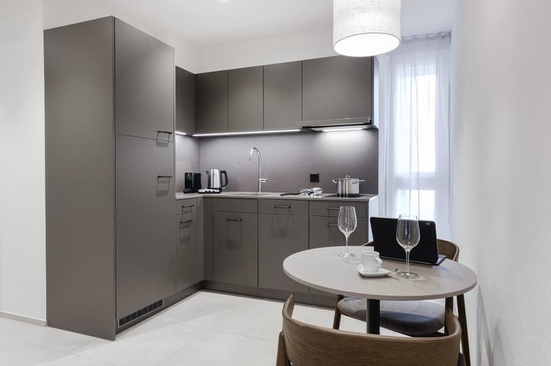 Studio Superior Apartment möbliert in Zürich - Zentral in der Stadt wohnen – ab 01.04.2026 (3)