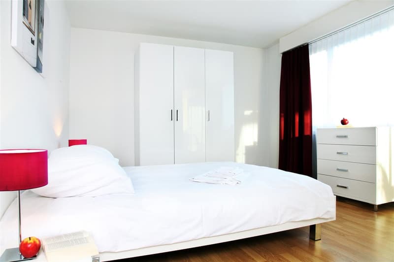 3-Zimmer Family Apartment mit Balkon möbiliert in Zürich - Nähe Bargrist/Hirsladen (3)