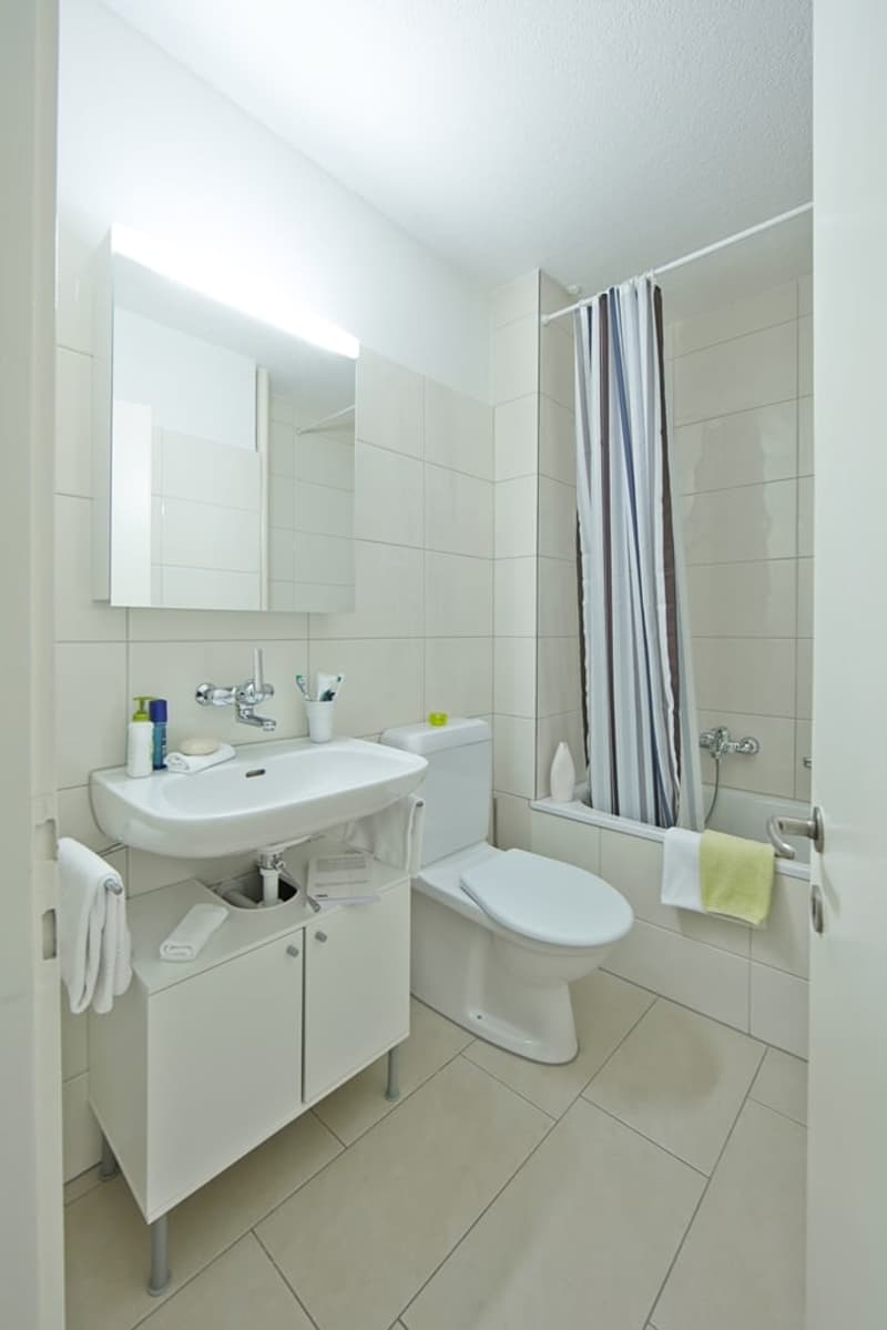 Furnished studio Apartment near Hirslanden, Balgrist / Möbliertes Studio-Apartment (3)