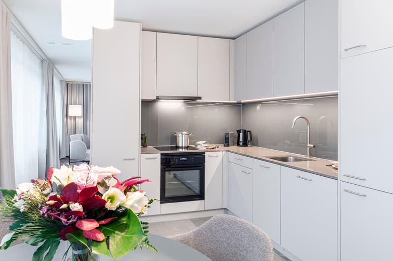 3-Zimmer Family Apartment möbliert in Cham (Zug), Papieri-Areal (3)