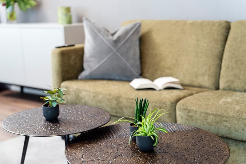 2-Zimmer Apartment Suite möbiliert in Cham (Zug), Papieri-Areal (7)