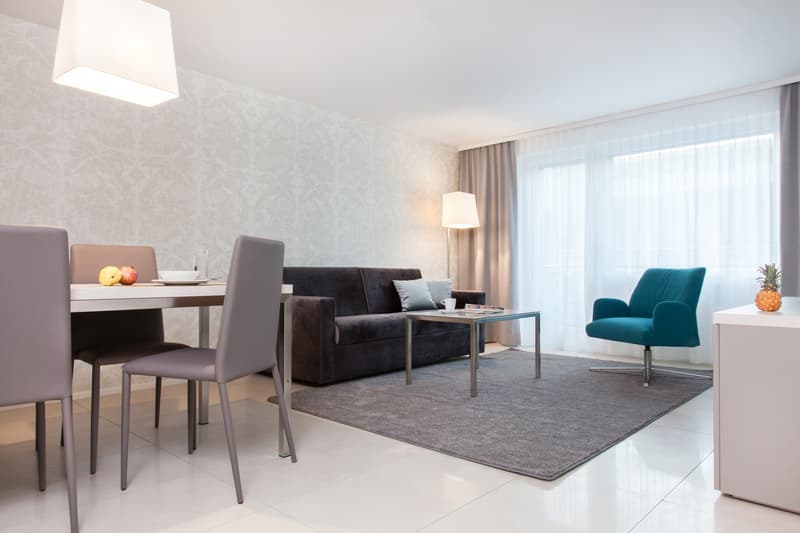 Furnished 1-bedroom Apartment in Zurich / Möbliertes 2-Zimmer Apartment in Zürich - Lindenstrasse (4)