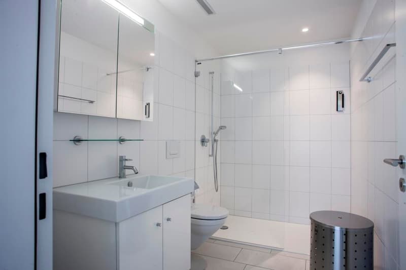 Ihre moderne Wohnung nahe Zugersee (9)