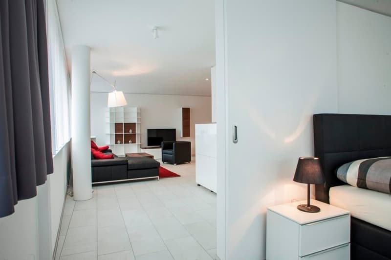 Ihre moderne Wohnung nahe Zugersee (8)