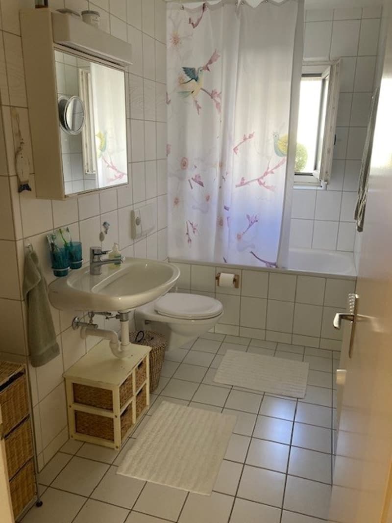 BEFRISTETE Wohnung nahe dem Zürichsee (3)