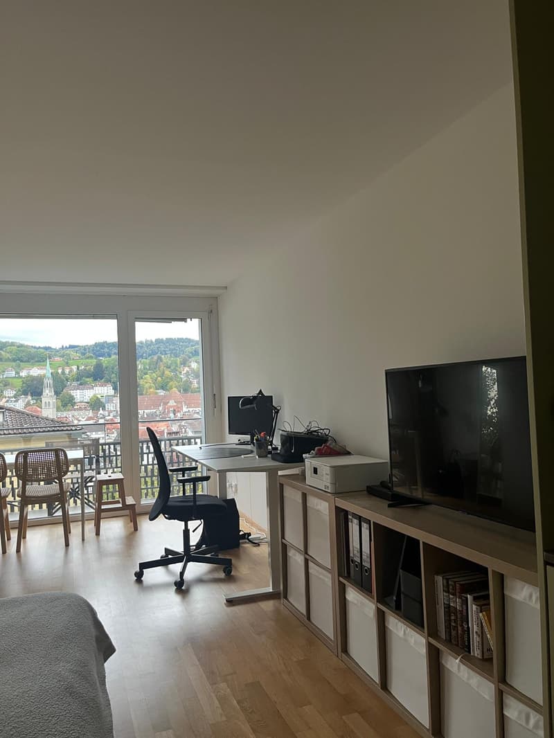 Gemütliche 1-Zimmer-Wohnung im Herzen von St. Gallen (5)