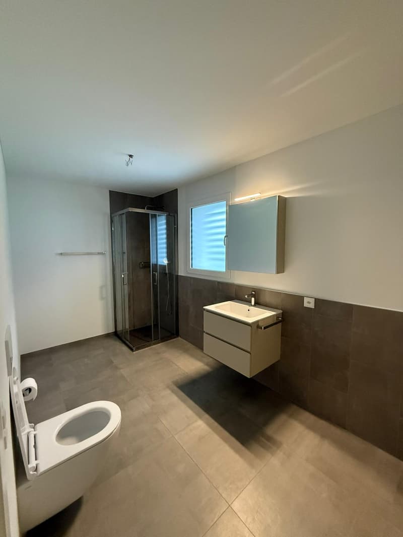 APP n 1 Brand New 2-Room Apartment in Iragna – Modern, Accessible & Pet-Friendly (4)