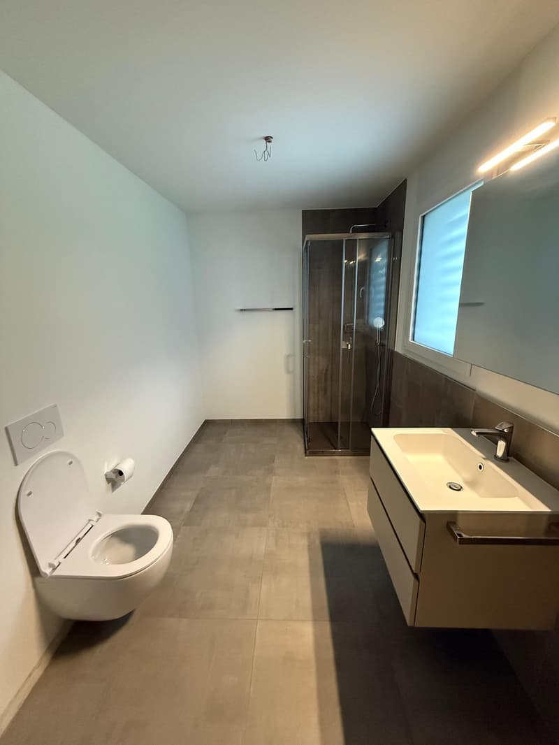 APP n 1 Brand New 2-Room Apartment in Iragna – Modern, Accessible & Pet-Friendly (3)