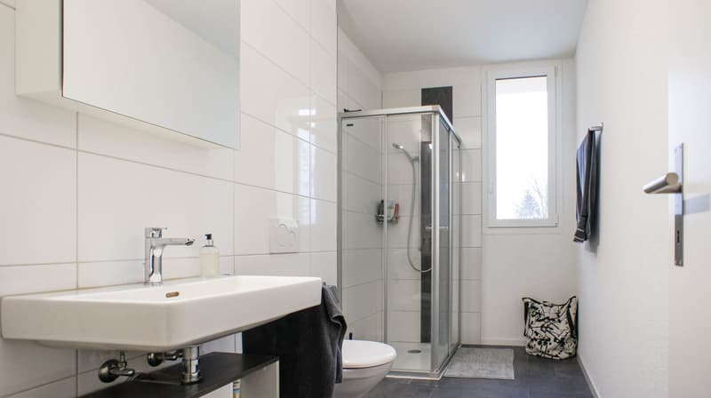 Grosse 5.5-Zimmer-Wohnung in sanierten Bauernhaus (10)