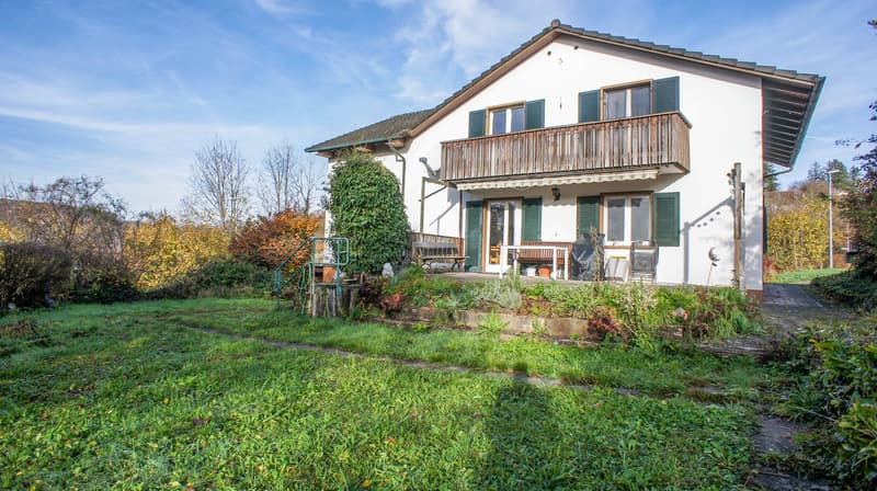 Mehrfamilienhaus mit 2 Wohnungen und Einliegerwohnung (4)