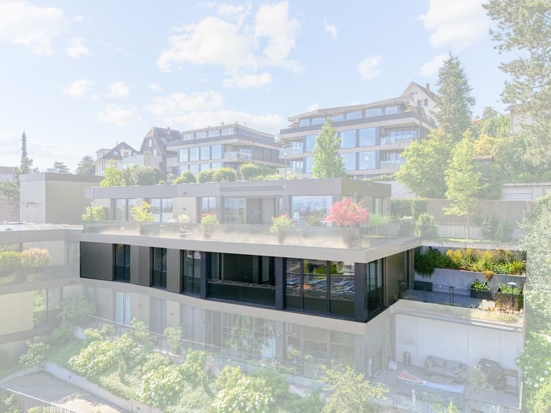 Wohnen mit Blick über Basel (2)