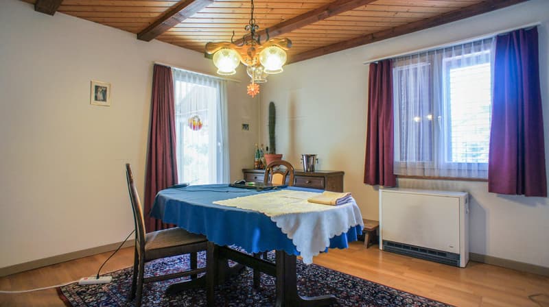 6-Zimmer EFH mit Baulandreserve (8)
