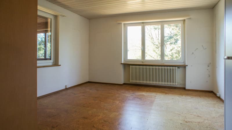 Grosses EFH mit Pool und sehr grossem Garten (17)