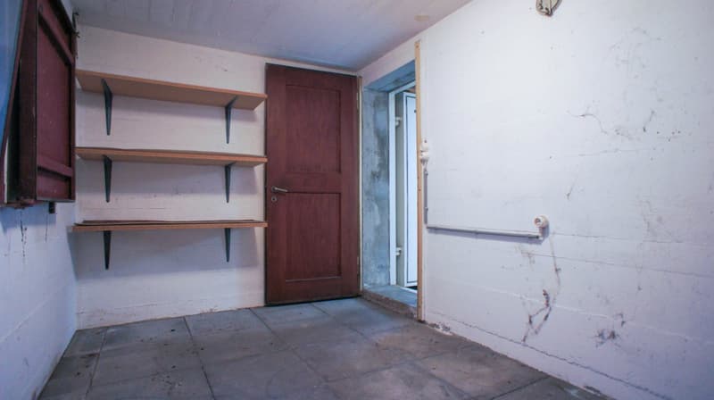 Grosses EFH mit Pool und sehr grossem Garten (21)
