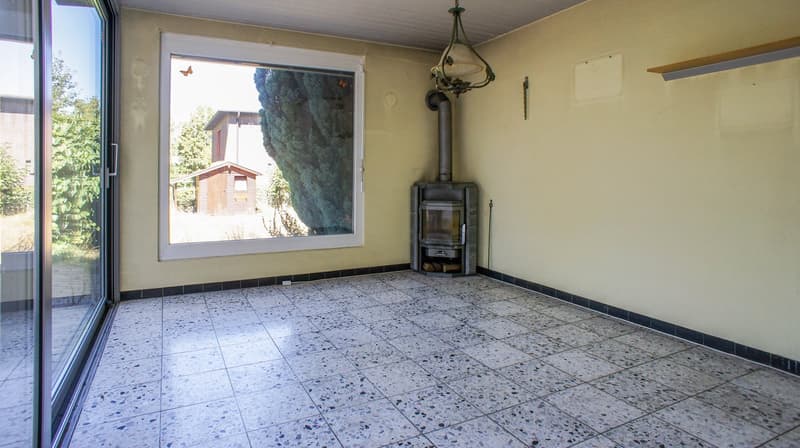 Grosses EFH mit Pool und sehr grossem Garten (10)