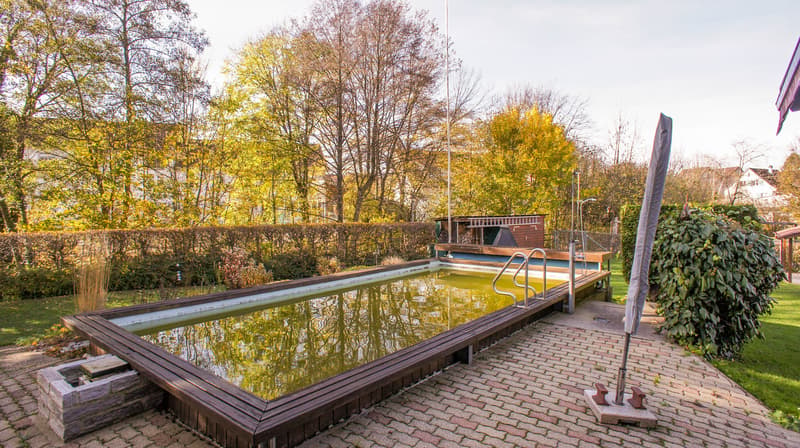 Grosses EFH mit Pool und sehr grossem Garten (3)