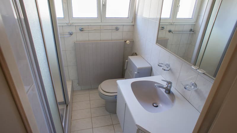 Grosses EFH mit Pool und sehr grossem Garten (18)