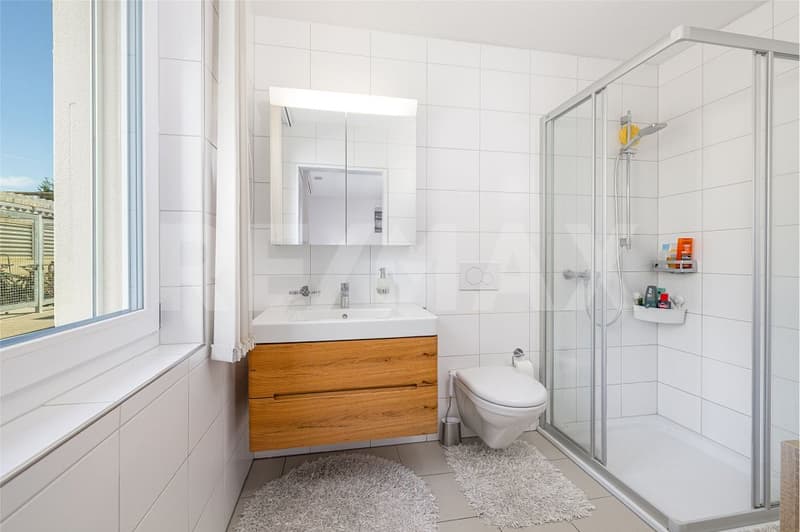 Sonnige Gartenwohnung mit grosszügigem Wohngefühl (9)