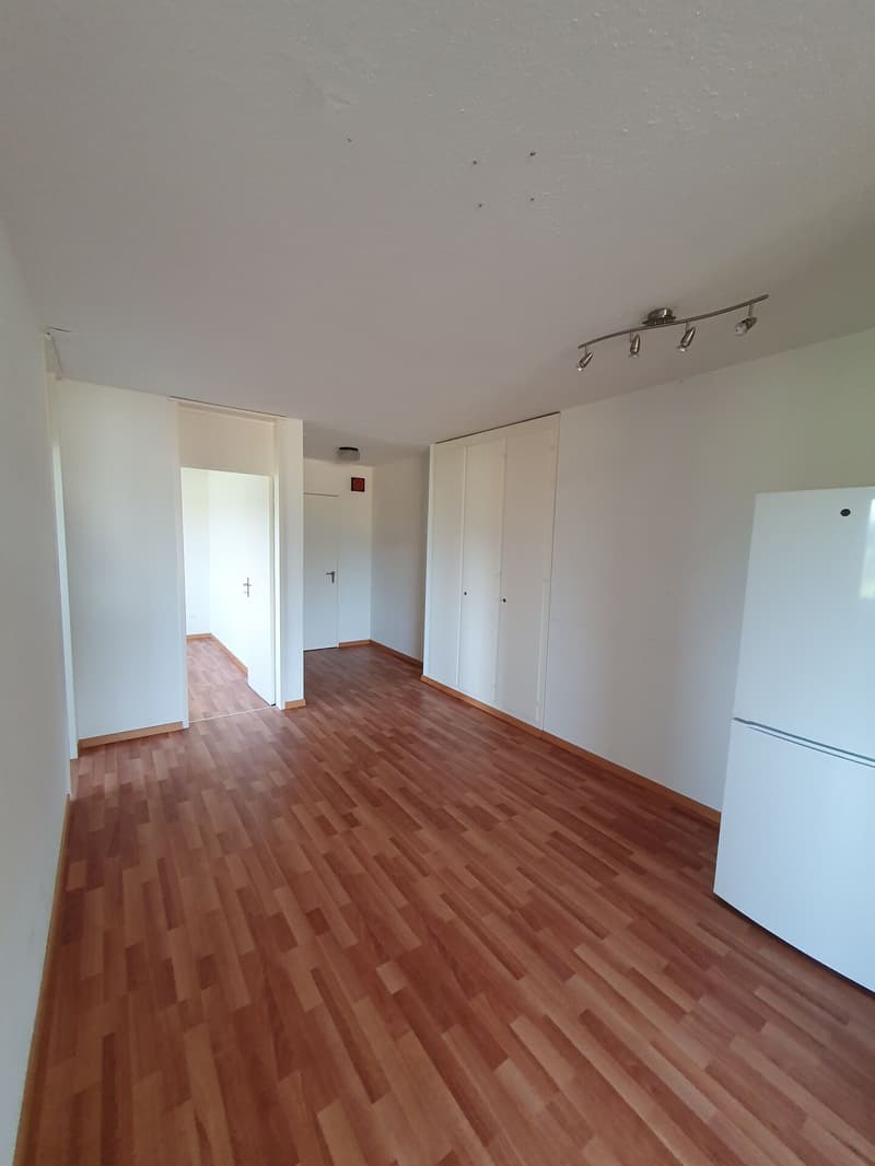 sonnige 4.5 Zimmer Wohnung in Langenthal (2)