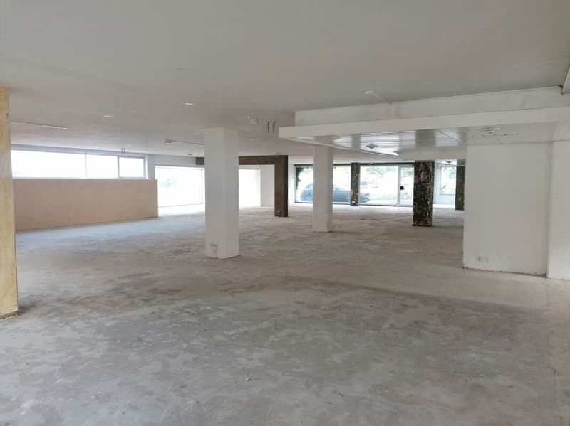 Espaces commerciaux au centre (7)
