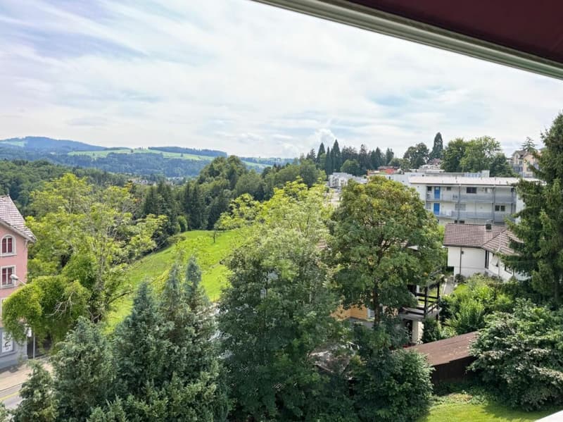 Ampio appartamento di 3,5 locali con bella vista (11)