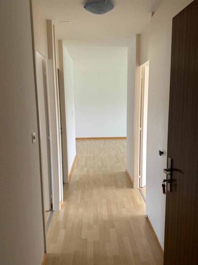 Ampio appartamento di 3,5 locali con bella vista (2)