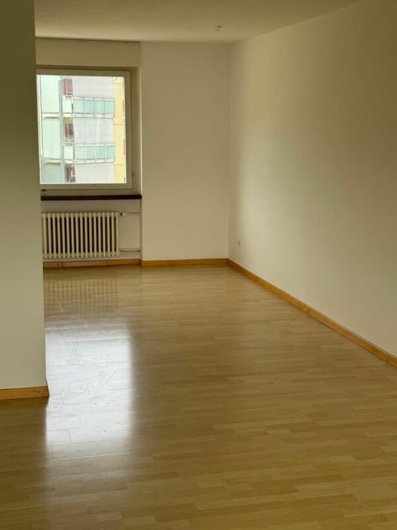 Ampio appartamento di 3,5 locali con bella vista (8)