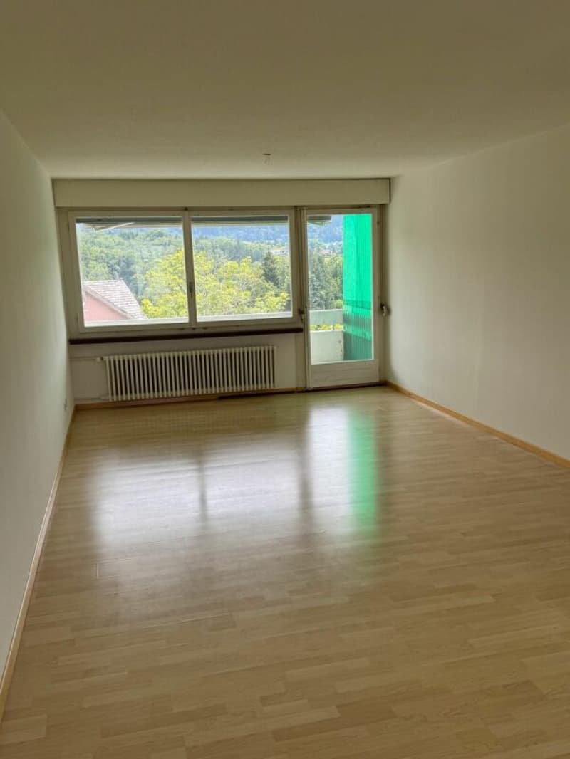 Ampio appartamento di 3,5 locali con bella vista (3)
