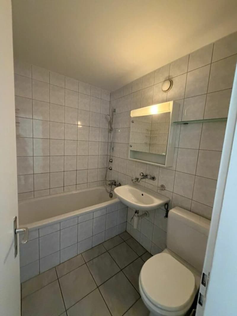 Spacious 3.5 room duplex in an idyllic location (8)