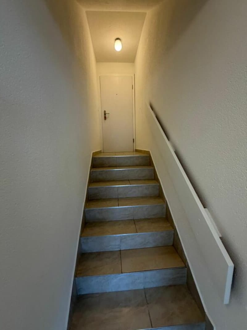 Spacious 3.5 room duplex in an idyllic location (4)