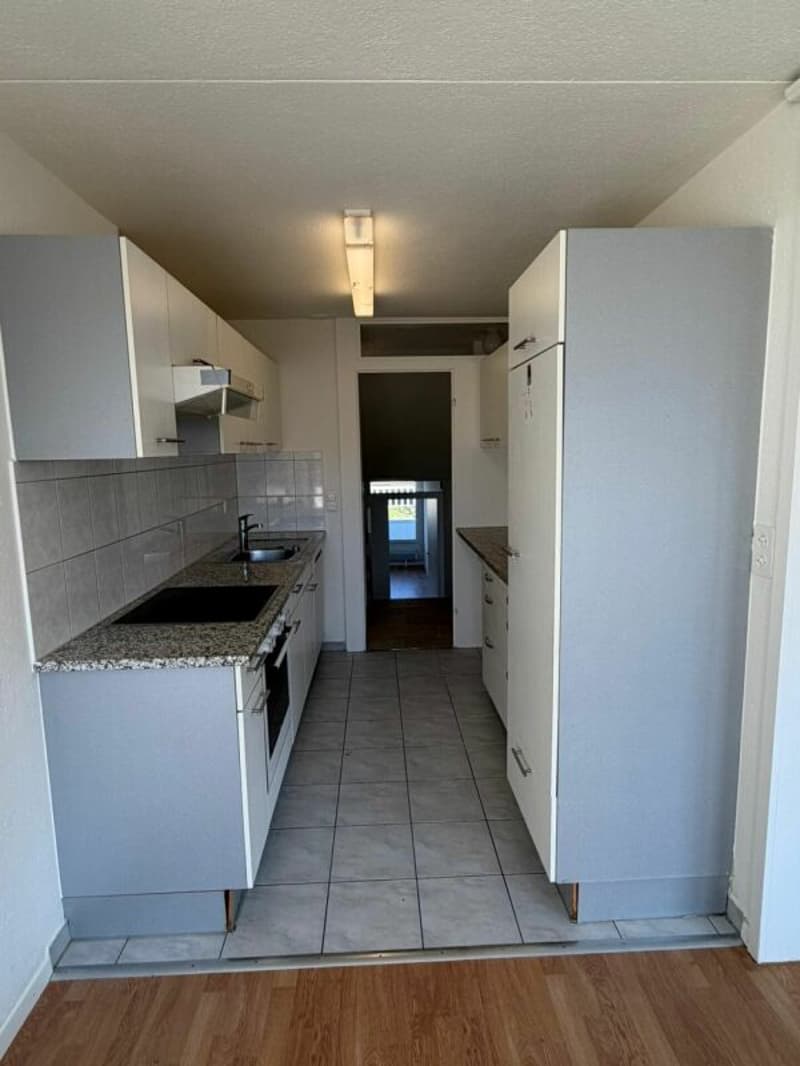 Spacious 3.5 room duplex in an idyllic location (2)