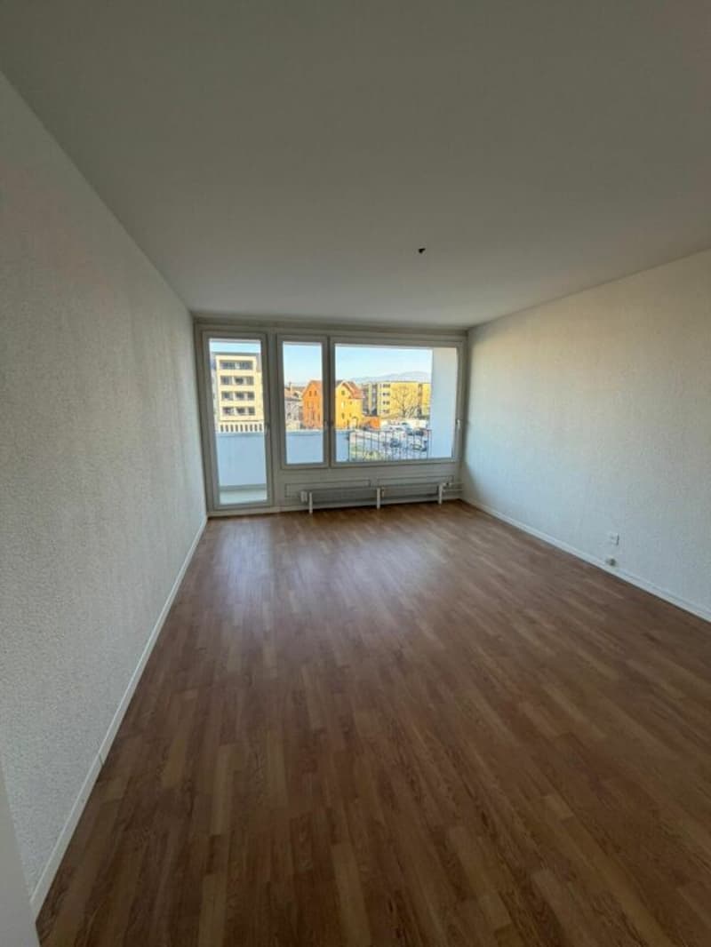 Spacious 3.5 room duplex in an idyllic location (5)