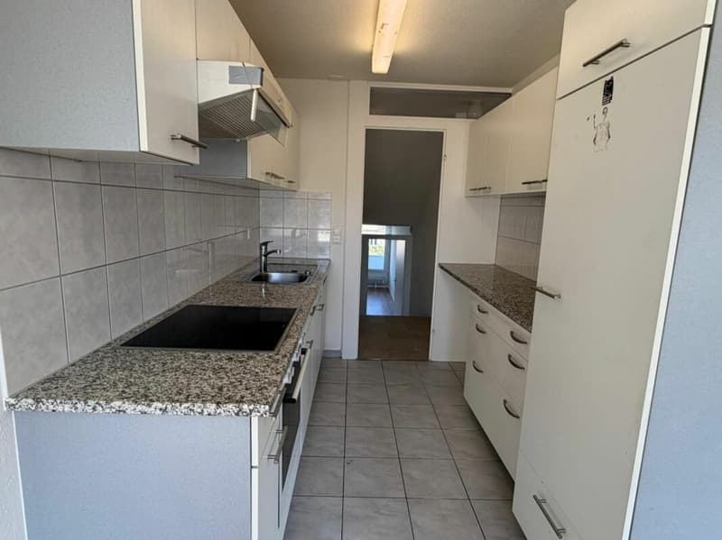 Spacious 3.5 room duplex in an idyllic location (3)