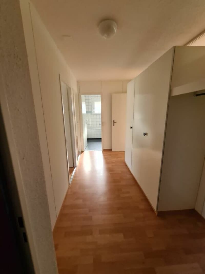 4.5 rooms 2nd floor evening sun (5)