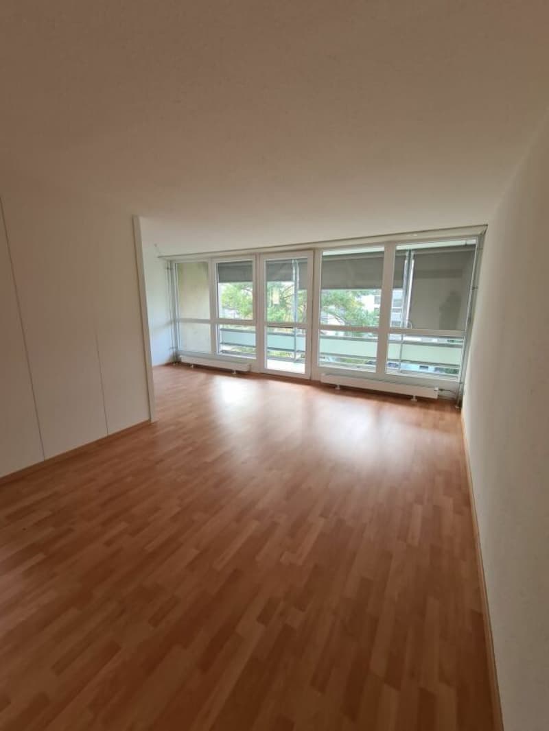 4.5 rooms 2nd floor evening sun (4)