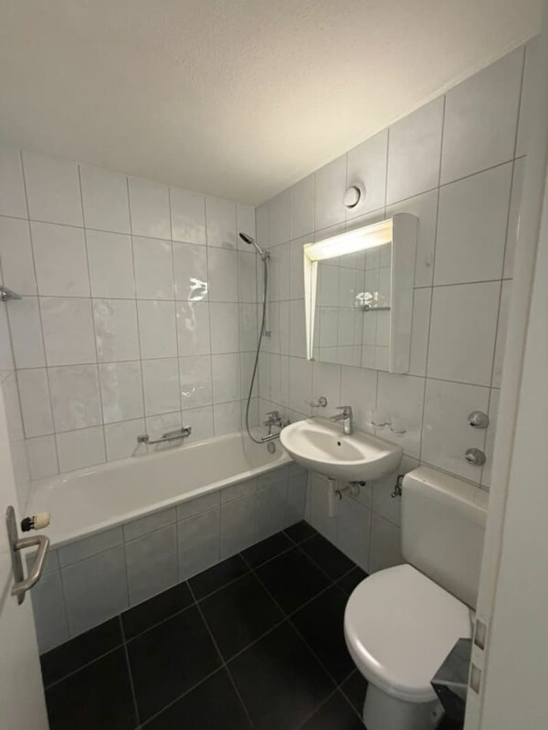 4,5 ZWG Wohnung Wohnung mit atemberaubender Aussicht ab sofort zu vermieten! (8)